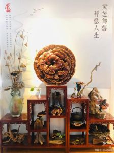 河图和女歌手飙高音的名场面_河图高音穿透力强，韩红天籁震撼人心，歌手们励志练功，传承音乐热爱