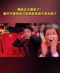 元宵晚会撒贝宁被吓到，老鼠干道具惊呆网友