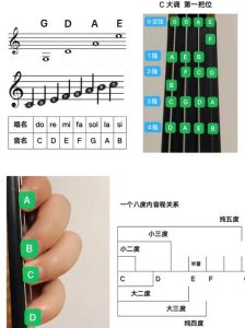 音准到c6是什么音域_唱C6是啥水平？男女音域差异大吗？