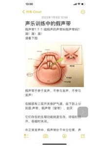 什么叫假嗓子唱歌_低沉磁性女声特技，真假声如何辨别？