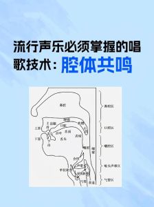 唱歌要把声音靠在声带上嘛_稳气息调音准，共鸣助高音，告别破音！