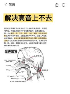 g4换声是男中音吗_G4算男中音？看声带共鸣和发声，界定挺复杂！