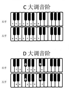 低音区从哪到哪_低沉有力，圆润舒服，轻快活泼！