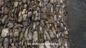 《大江南》纪录片，真实历史地理重塑江南想象