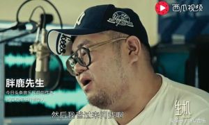 做暖暖视频的创作之路：音乐与情感的完美结合发展趋势分析