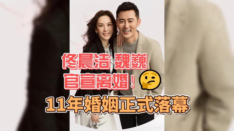 佟晨洁与魏巍和平分手，11年婚姻终告一段落