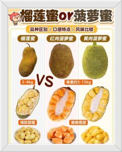 如何在线观看菠萝菠萝蜜精品视频的完整流程和注意事项？