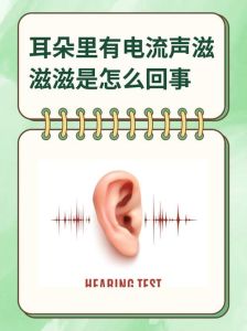 嗓音通过电流传来的吗_晚上唱歌好听录音难听？原来是耳朵在耍把戏！
