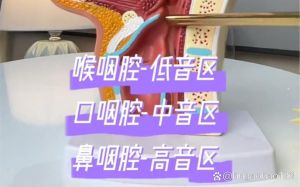 唱低音要找高位置吗_让声音连贯统一，跨越声区不再难