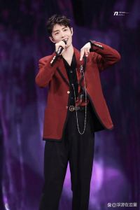 肖战有演唱会吗_肖战2026上海演唱会确定！多城开唱，粉丝期待值爆表