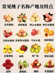 蜜桃产品在一二三产区的区别有哪些？它们在音乐产业中的表现有何不同？